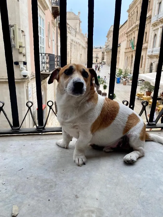 Casa Dei Leoni Βίλα Συρακούσες Σπίτι διακοπών