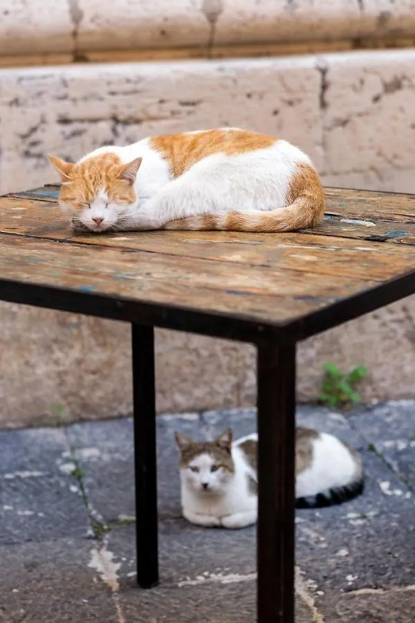 Casa Dei Leoni Βίλα Συρακούσες